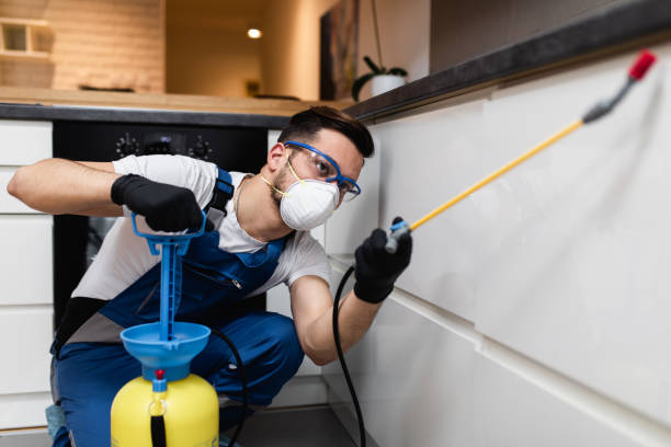 Best Flea Control Services  in Ligonier, IN