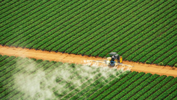 Best Pest Removal Services  in Ligonier, IN