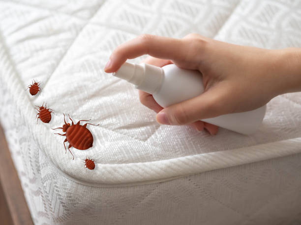 Best Affordable Pest Control Services  in Ligonier, IN