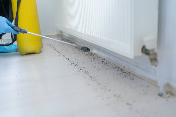 Best Affordable Pest Control Services  in Ligonier, IN